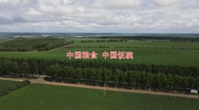 端牢中國飯碗，歡慶第42個世界糧食日！