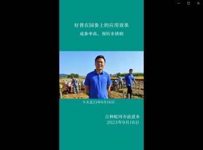 成參率高、預(yù)防水銹病:吉林蛟河市前進(jìn)鄉(xiāng)、白山市撫松縣萬良鎮(zhèn)（2023.9.16）