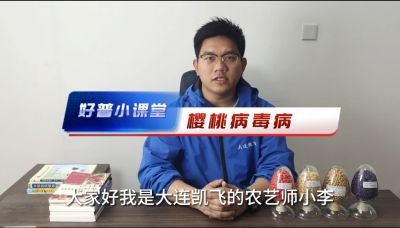 好普小課堂 櫻桃病毒病